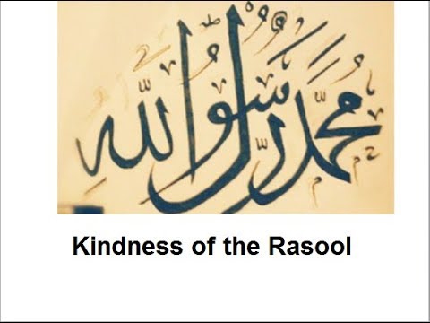 write an essay on the kindness of the rasool