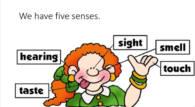 Single National Curriculum/SNC/English 4/poem Thank You Lord/Paragraph about 5 senses