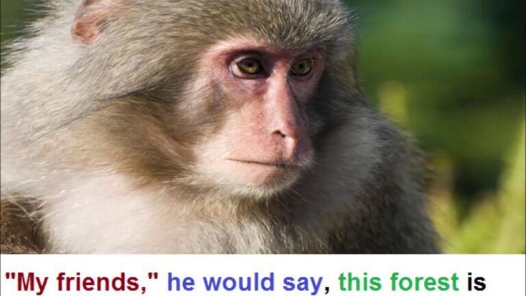 Aao English seekhein, class 5 L 12.1, Story The First Straw