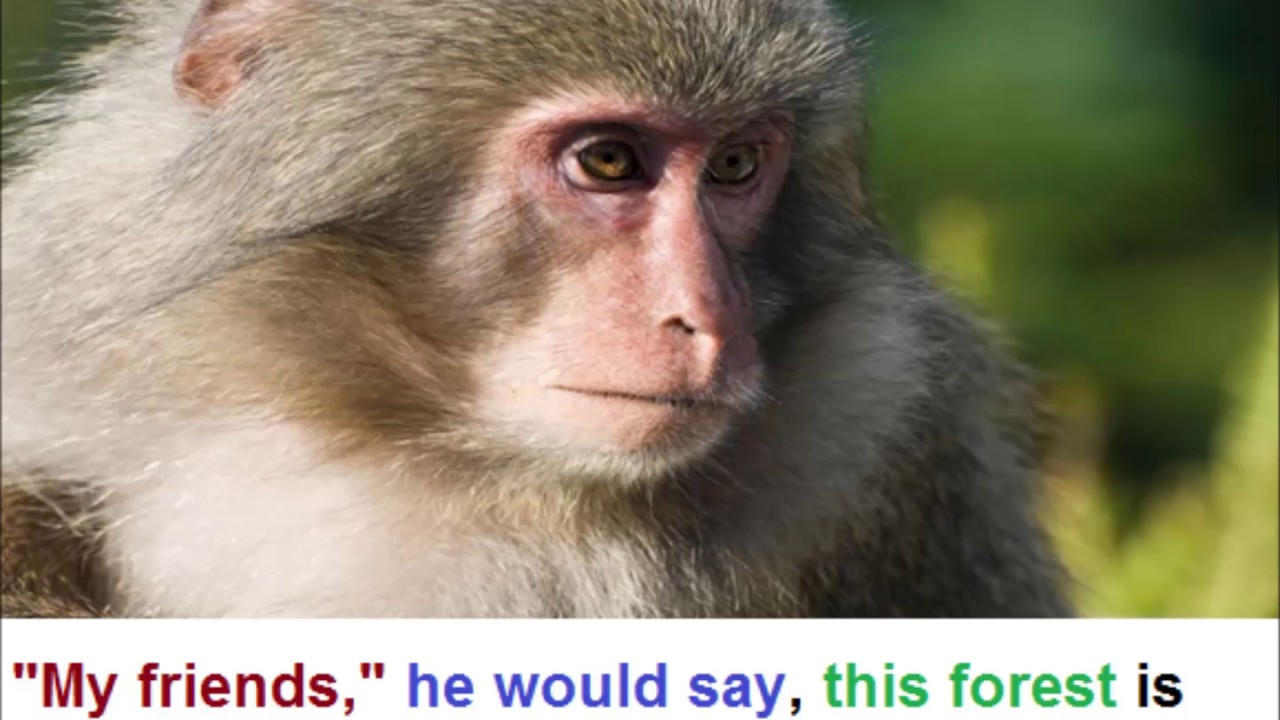 Aao English seekhein, class 5 L 12.1, Story The First Straw