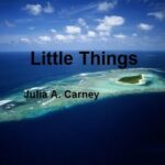 Aao English seekhein, class 5 L 4.1, poem Little Things