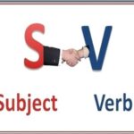 Aao English seekhein, class 5 L 7.6, English Grammar, Subject verb agreement