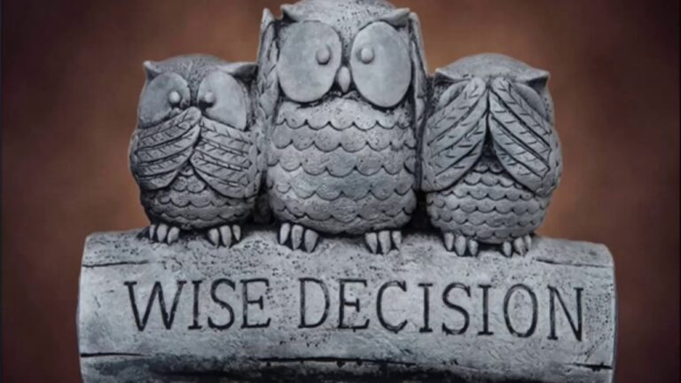 Aao English seekhein, class 5 L 9.1, English story Wise Decision