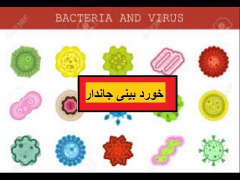 Science in Urdu class 5 L 11, micro-organisms خورد بینی جاندار