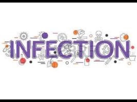 Science in Urdu class 5 L 15 Infection انفیکشن