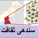 5th class social studies, L 57, Sindhi Culture, سندھی ثقافت