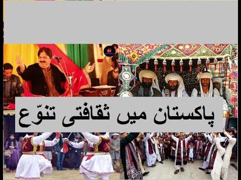 5th class social studies, L 61, Diversity in Pakistani culture, پاکستانی ثقافتی تنوّع