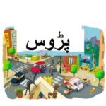 5th class social studies, L 70, Neighborhood, پڑوس