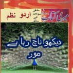 Class 5 PTB Urdu Sabaq 8.1, Urdu poem  دیکھو ناچ رہا ہے مور