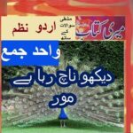 Class 5 PTB Urdu Sabaq 8.2, Urdu poem/دیکھو ناچ رہا ہے مور/ wahid jamma واحد جمع