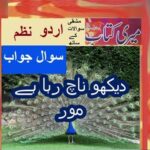 Class 5 PTB Urdu Sabaq 8.3, Urdu Poem/دیکھو ناچ رہا ہے مور/ مشقی سوال جواب