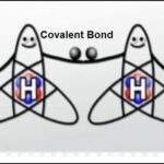 9th class Chemistry unit 4.3, Polar and nonpolar covalent bond