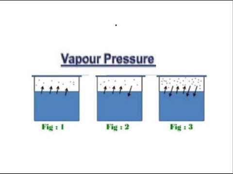 9th class Chemistry unit 5.7, vapour pressure