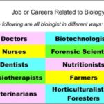 9th class Biology Ch 1.3 Career in Biology, Doctor