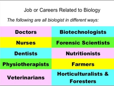 9th class Biology Ch 1.3 Career in Biology, Doctor