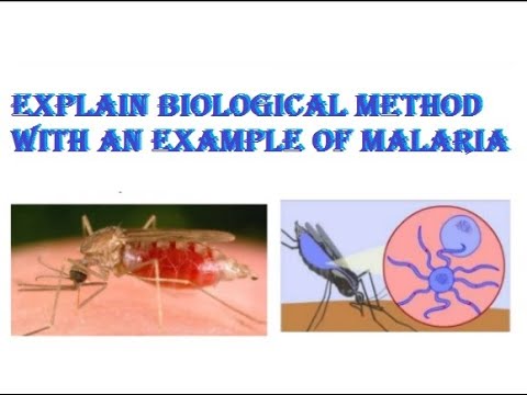 9th class biology ch 2.3, Explain biological method with an example of malaria