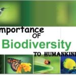 9th class biology ch 3.4 Importance of biodiversity