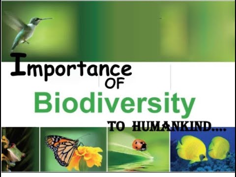 9th class biology ch 3.4 Importance of biodiversity