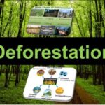 9th class biology ch 3.5 Causes and effects of deforestation