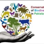 9th class biology ch 3.5, Conservation of biodiversity in Pakistan