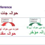 9th class English unit 4.6, Cataphoric and Anaphoric References