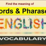 9th class English unit 4.8, meaning of Words and phrases