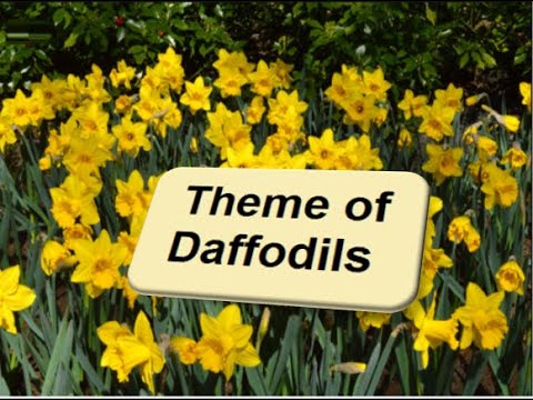 9th class English unit 5.5, Daffodils Main theme