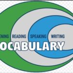 9th class English unit 3.9, English Vocabulary