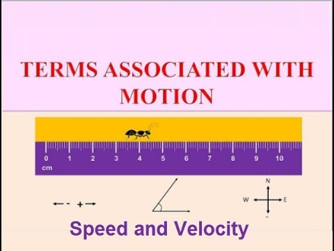 9th class Physics unit 2.10, Speed and velocity