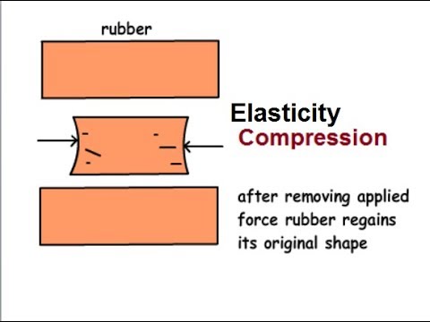 9th class Physics unit 7.8,  What is Elasticity?