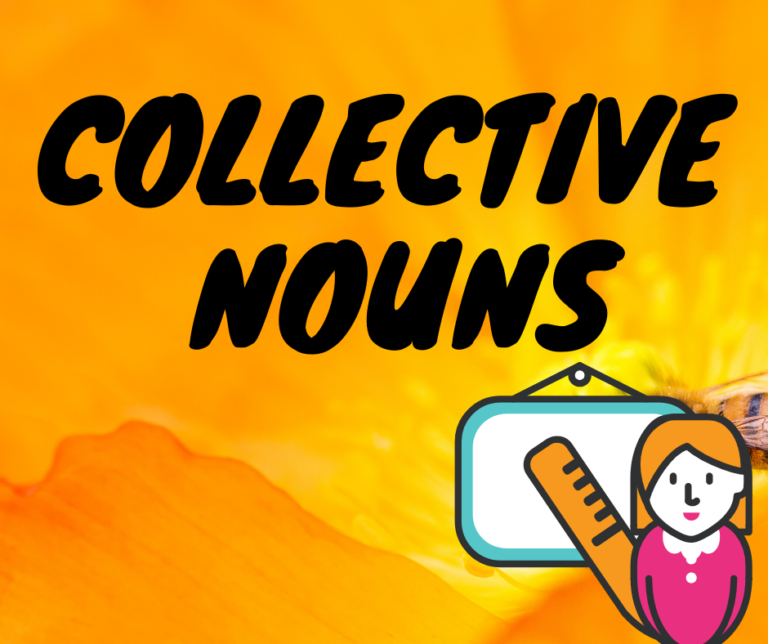 English class 4/poem caterpillar/English grammar/collective nouns