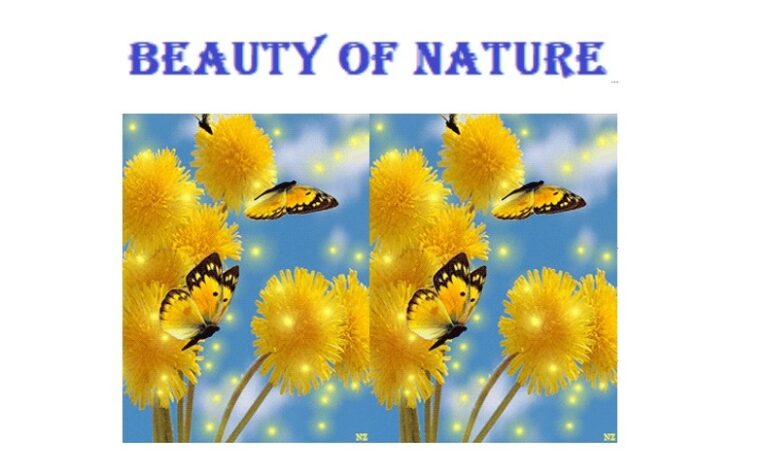 English class 4/beauty of nature