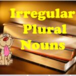 English class 4/Chapter 3/Journey of Chocolate/Irregular Plural nouns