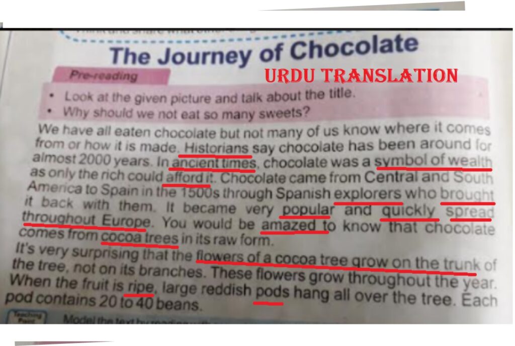 Single National Curriculum/SNC/English class 4/The Journey of Chocolate Urdu Translation