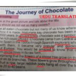 Single National Curriculum/SNC/English class 4/The Journey of Chocolate Urdu Translation