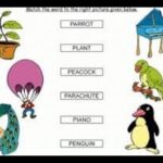 Aao English seekhein, for kids Class 1, Learn words starting with letter P