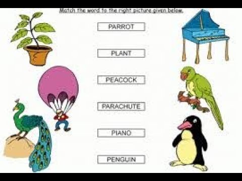 Aao English seekhein, for kids Class 1, Learn words starting with letter P