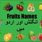 Aao English seekhein, for kids Class 1, Learn name of fruits