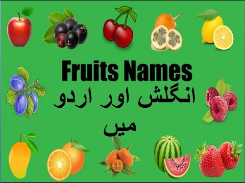 Aao English seekhein, for kids Class 1, Learn name of fruits