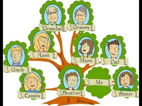 Aao English seekhein, for kids Class 1, Learn names of extended family