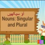 Aao English Seekhein, Grade 2 L 28,  learn Singular & plurals