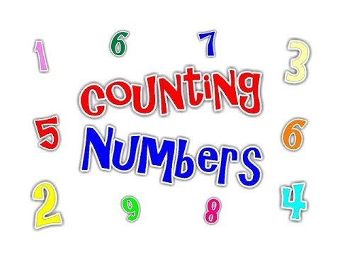 Class 2 Math L 1, counting numbers in Urdu