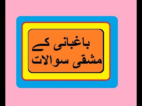 Aao Urdu seekhein, Learn Urdu for Kids and Beginners, Sawal Jawab