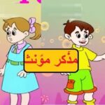 Aao Urdu seekhein, Learn Urdu Grammar for Kids and Beginners, Mazakar Muanas