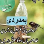Aao Urdu seekhein, Learn Urdu for Kids and Beginners, Nazam Hamdardi