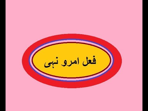 Aao Urdu seekhein, Learn Urdu Grammar for Kids and Beginners, Fail Amr Nahi