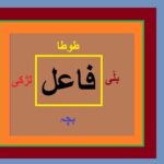 Aao Urdu seekhein, Learn Urdu Grammar for Kids and Beginners, Urdu grammar