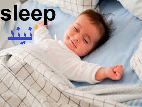 Aao English seekhien, verb sleep in Urdu L 26