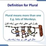 Aao English seekhien, plurals in Urdu L 31