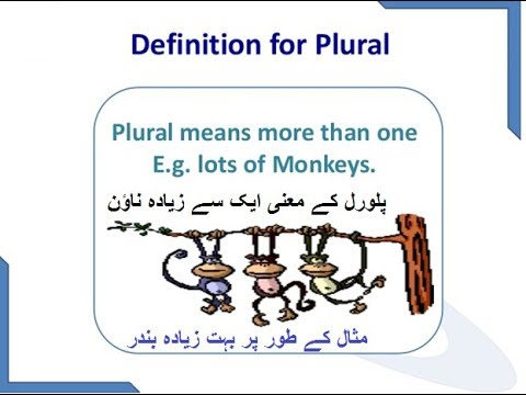 Aao English seekhien, plurals in Urdu L 31